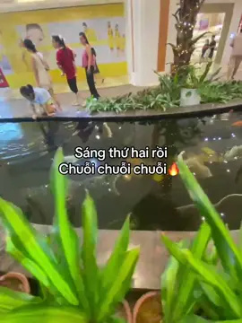 #_hoang_1807🧸 #fyp #tamtrang #fbtxuhuong #ctxkxuhuong 