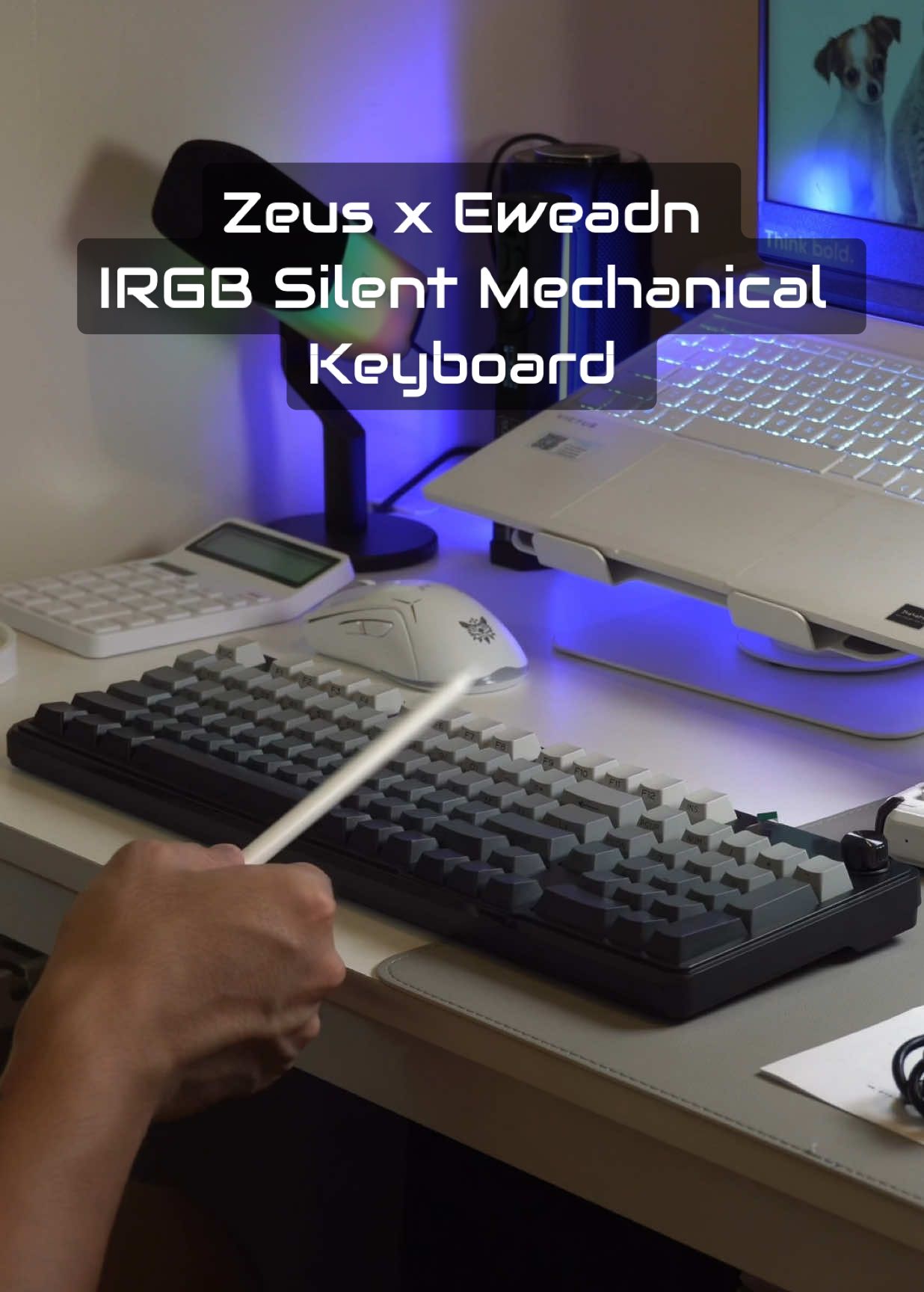Zeus x Eweadn IRGB Silent Mechanical Keyboard. #mechanicalkeyboards #keyboardasmr #keyboard #gamingkeyboard #pcgaming 