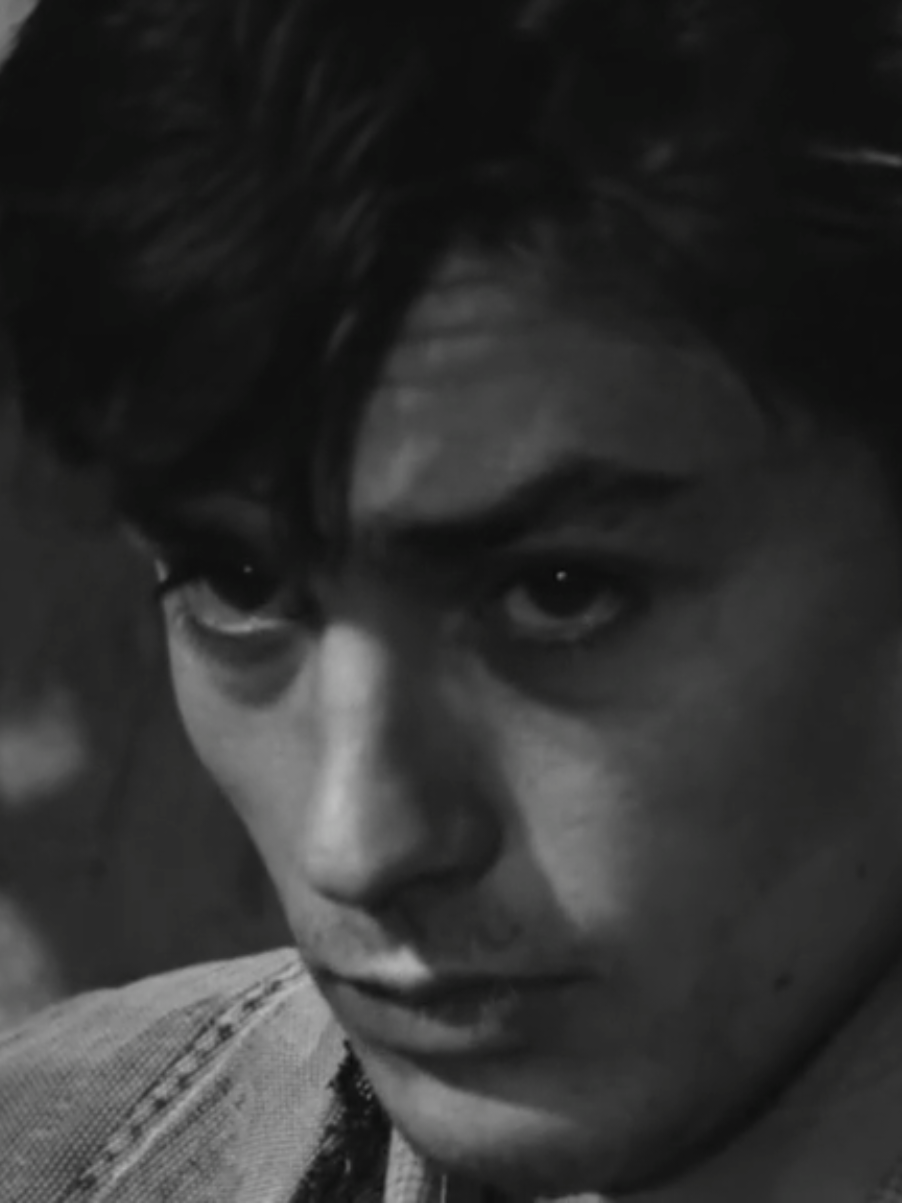 I love him #alaindelon #alaindelonedit #fyp 