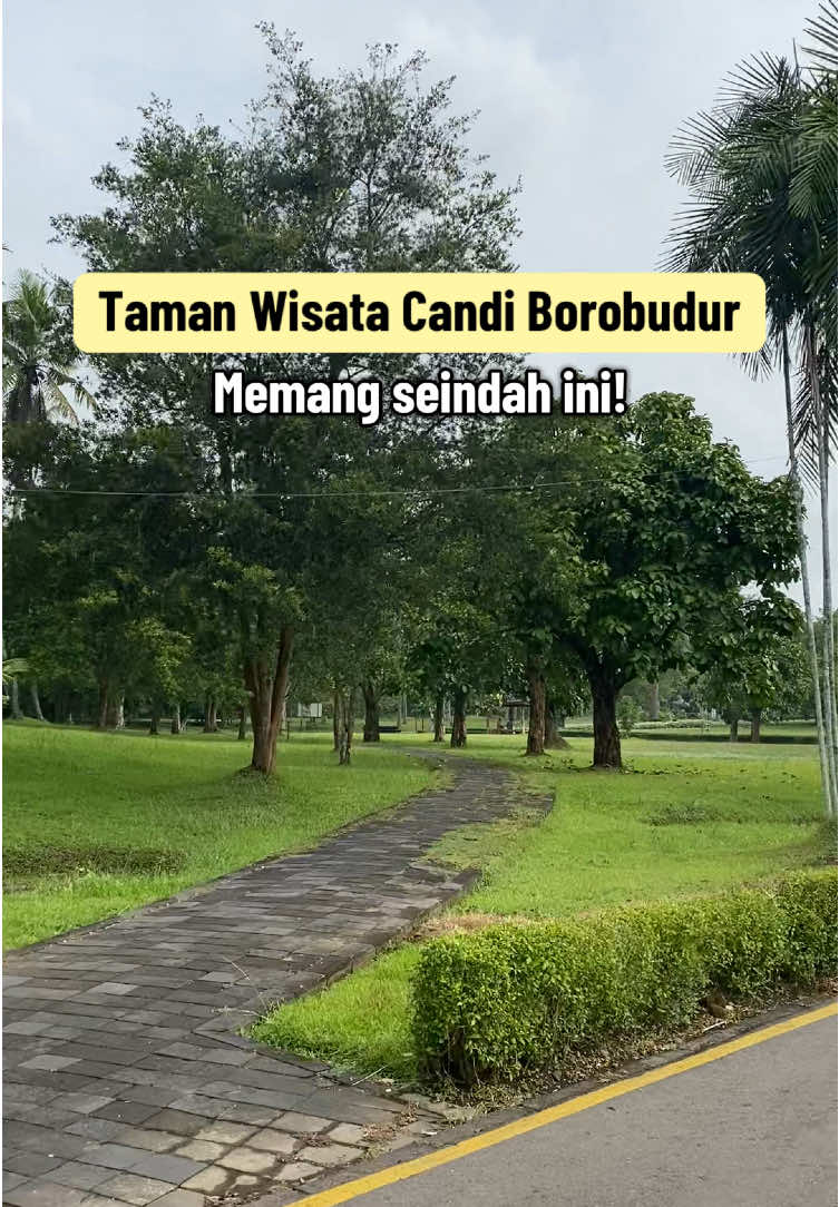 Kalo punya masalah liat ijo beginian jadi plongg! #goacademyatraksi #candiborobudur #borobudur #candubanget #versiindia 