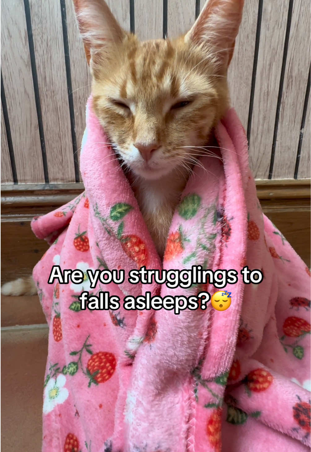What truly happens if you don’t get enough sleep 🙀😰 #pets #cat #viral #funny 