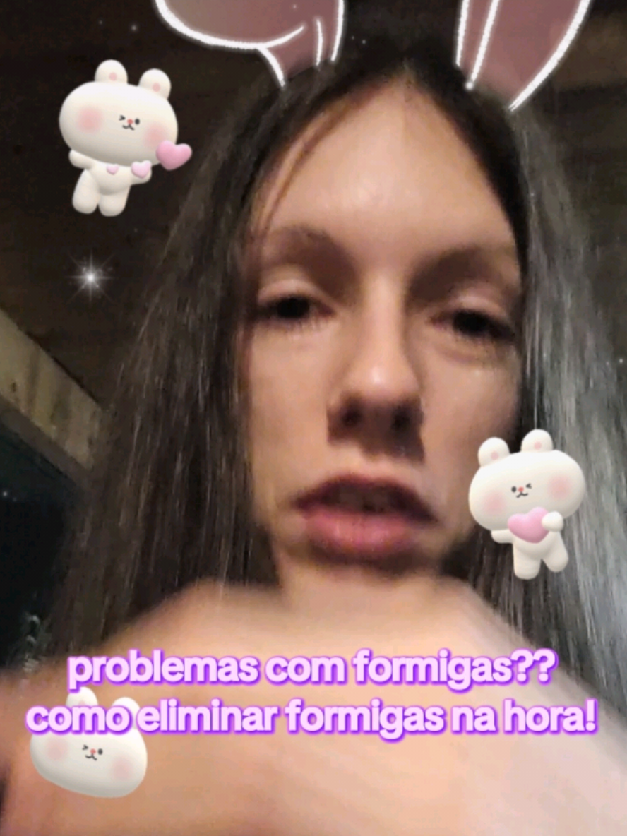 como matar formigas sem veneno nem água quente na hora!!!!! versão arsonista pobre