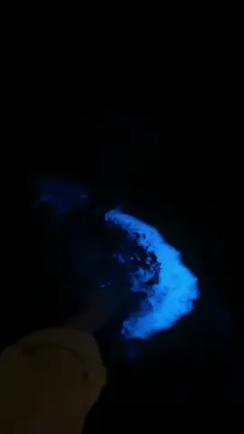 Bioluminescent plankton at St Kilda (1Sep2025, 1am) #Bioluminescentplankton #melbourne #beach #stkilda 