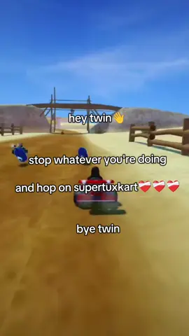 hop on supertuxkart twin #linux #fyp #techtok #linuxgaming #gaming 