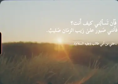 🤍🤍. #foryou  #fyp #لايكات  #عميد_المنبر_احمد_الوائلي #هاشتاق