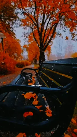 Tanhai ho ya mahfil#foryou #foryoupageofficiall #تیری_یادوں_سے_بھری_رہتی_ہے_تنہائی🥀🥀🥀 