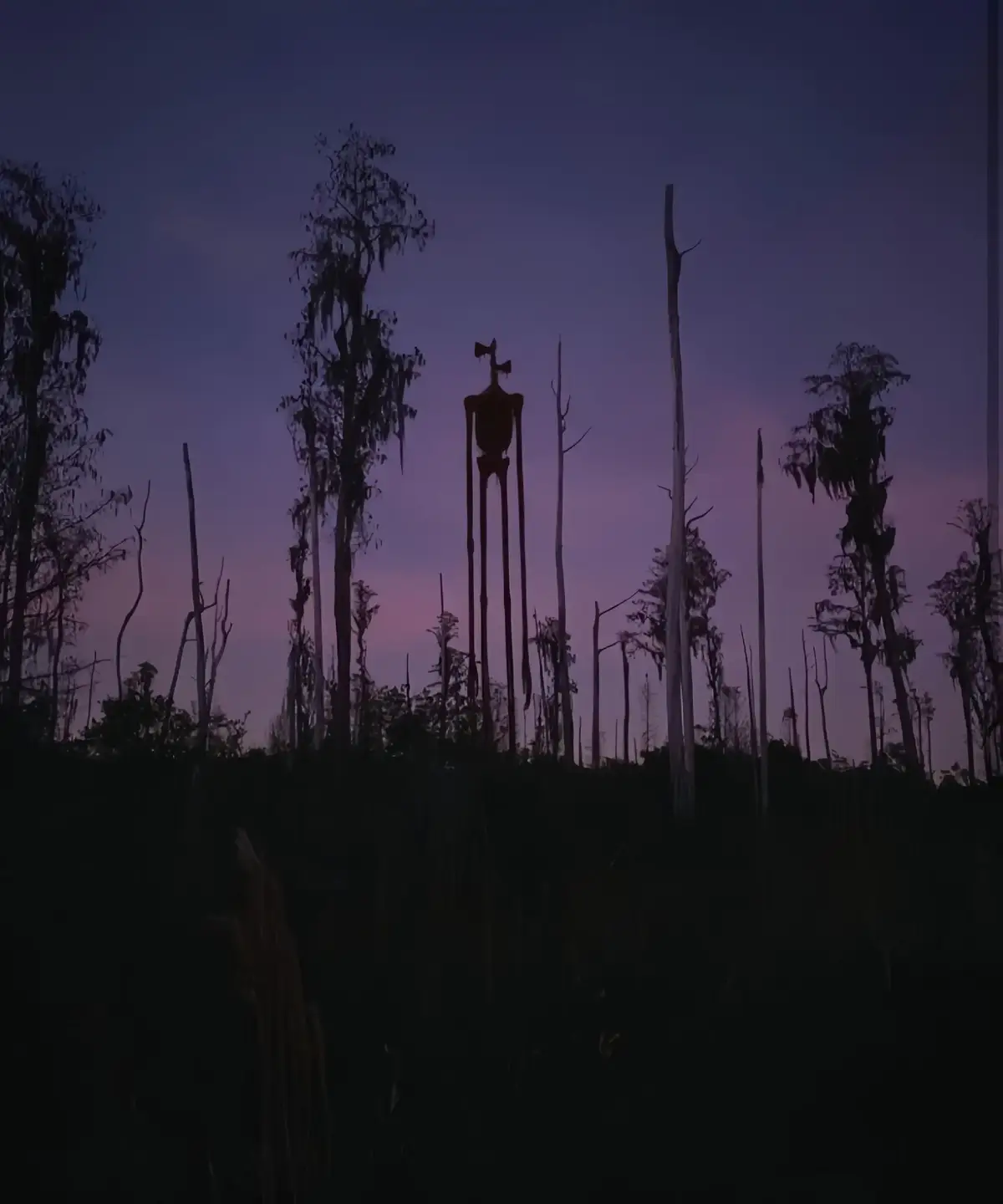 song sirenhead #sirenhead #song #explore #fyp #foryou 