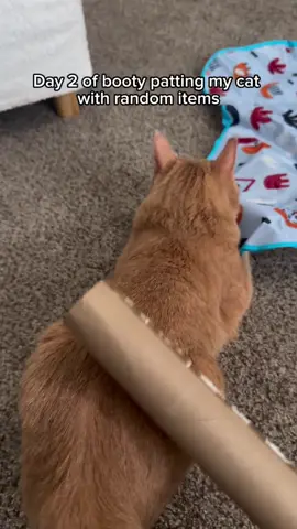 what should Ember be booty patted with on Day 3? 