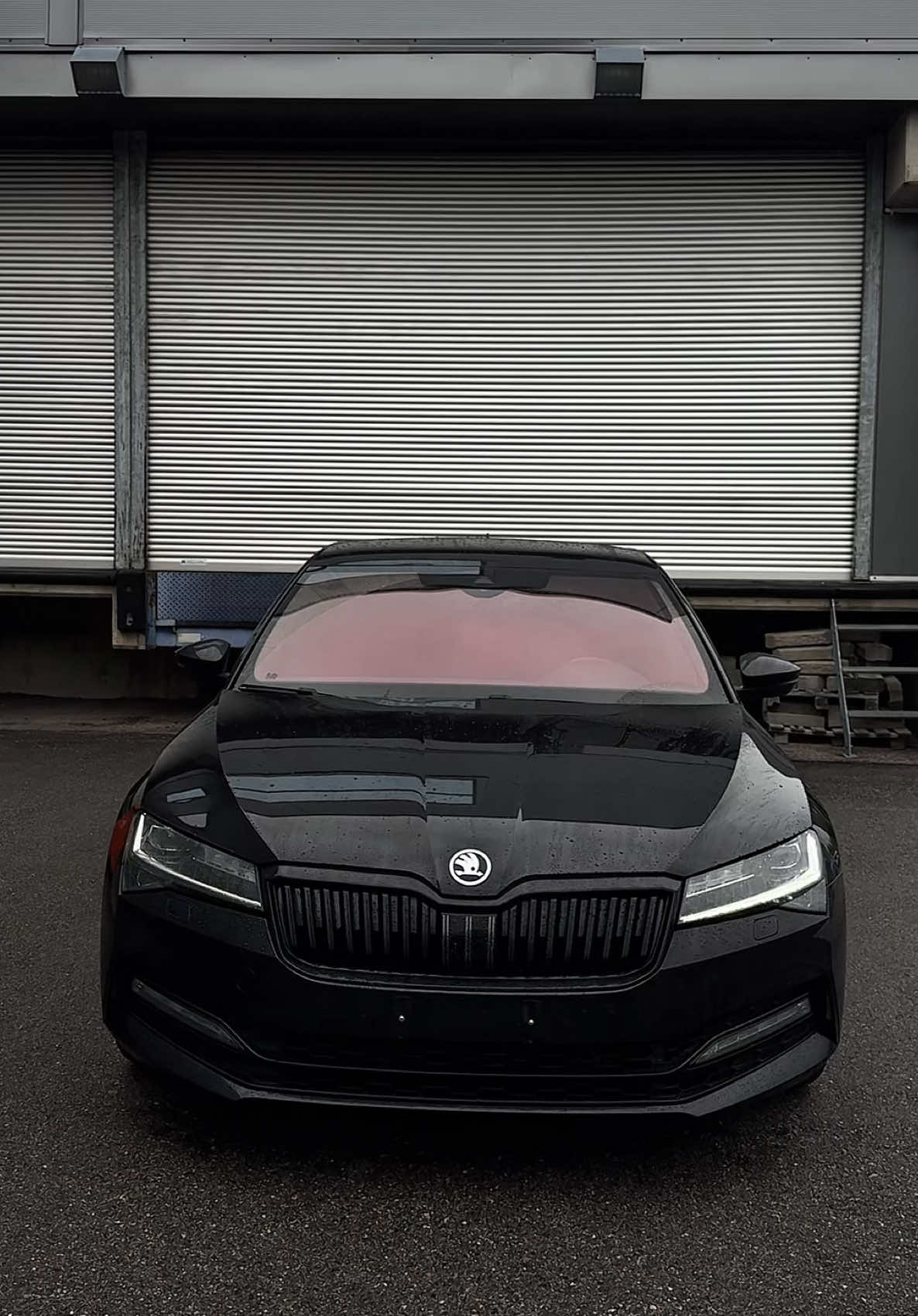 #skoda #superb #рекомендации #машины 
