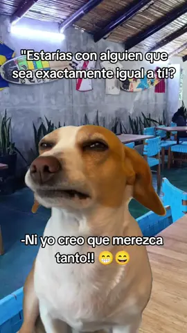 Mi momento más humilde!!! 🤣🤣🤣#Meme #MemeCut #CapCut 