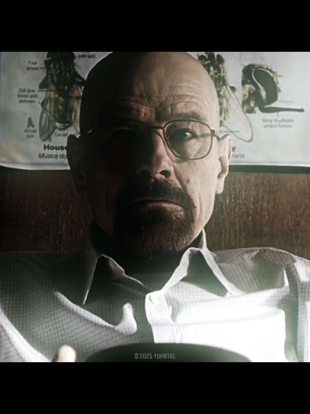 smoking can prolong life by more than 10 seconds | scp: @7diiamond | #walterwhite #mrlambert #heisenberg #breakingbad #edit #aesthetic #fyp #viral 