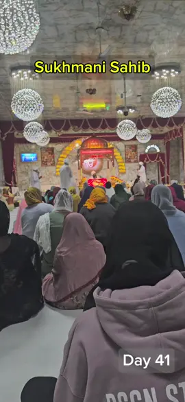 Day 41 - Visiting the Gurdwara every single day 