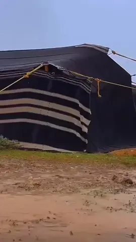 #المملكة_العربية_السعودية #الحدود_الشماليه طريف