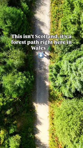 Looks like Scotland... but this is actually Loggerheads Country Park in North Wales 🏴󠁧󠁢󠁷󠁬󠁳󠁿  One of the most scenic forest walks in the region, with endless tracks, rivers and hidden viewpoints. Save this for your next Wales adventure 📍  #LoggerheadsCountryPark #NorthWales #VisitWales #HiddenGemsUK #UKHiddenGems         