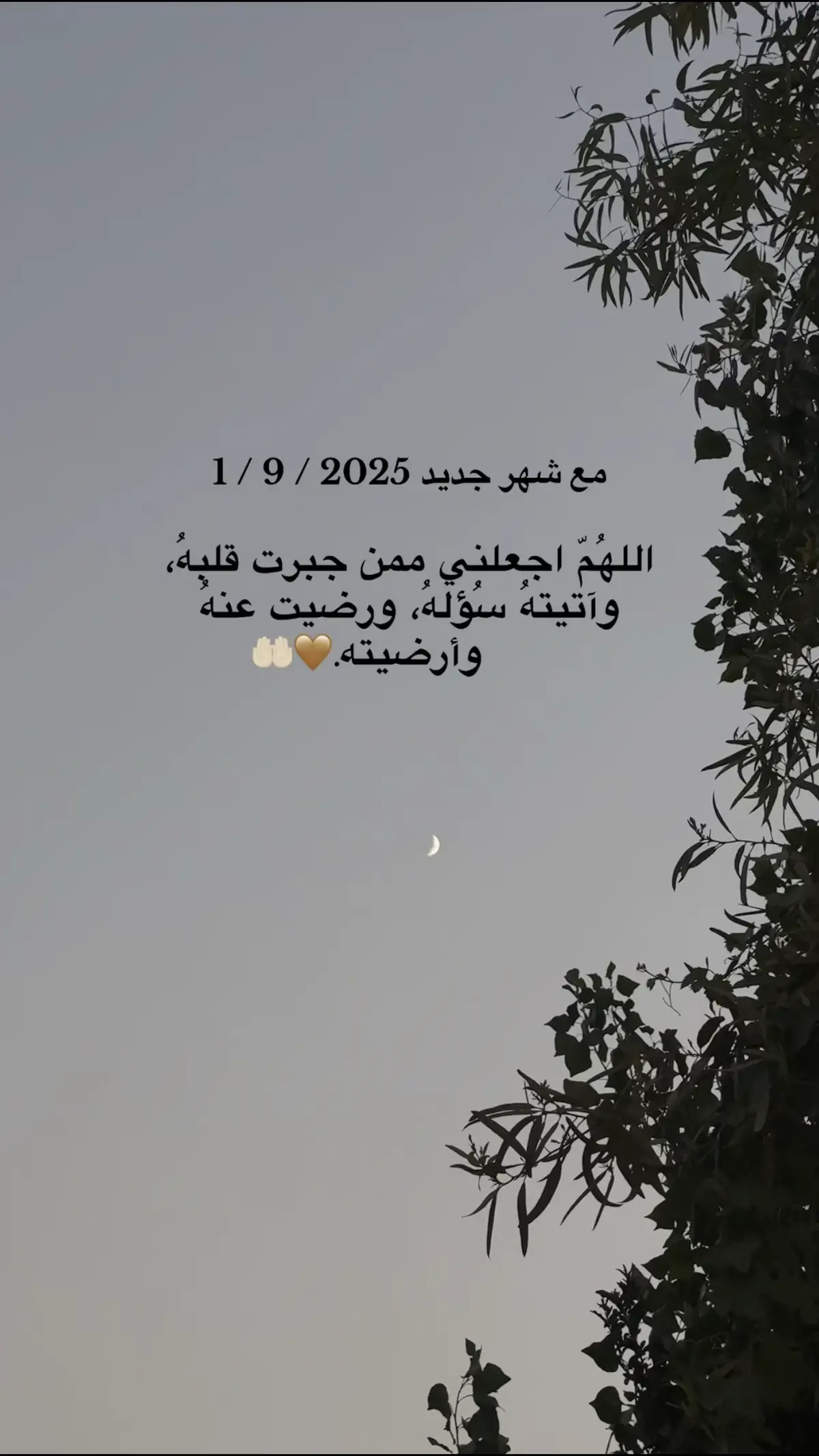 #اللهم_امين #یارب_العالمیــــــــــن🤲🏻🥺 