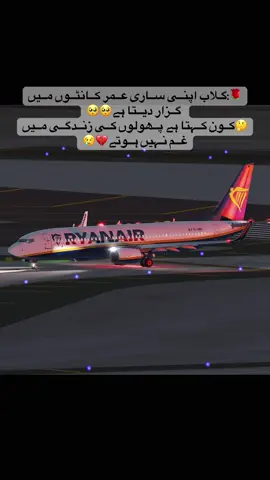 🥹💔✈️#aviation #Sad #Musafir #foryoupage❤️❤️ #sadpoetry🥺 