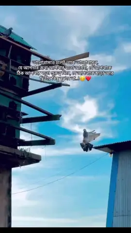 সবাইকে ভালোবাসা যায় না,, কারণ তারা ভালোবাসা বুঝতে পারে না..! 🙂#foryou #trend #trending #tiktok #bdtiktokofficial🇧🇩 @TikTok Bangladesh 
