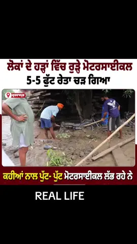 #help #flood #punjab #explore 