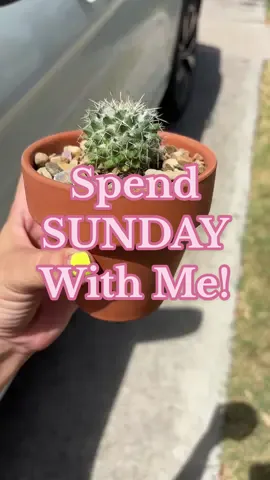 Spend Sunday with me! #spendthedaywithme #teacher #sunday #dayinmylife #teachersoftiktok @HOTWORX @Bath & Body Works @mcalistersdeli 