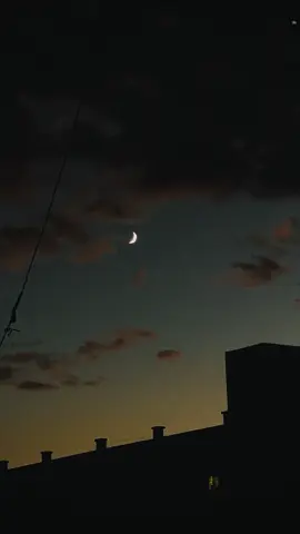 ‎شاید اُسے ملے گی لبِ بام چاندنی ‎اُتری ہے شہر میں جو سرِ شام چاندنی  ‎مجھ سے اُلجھ پڑے نہ کڑی دوپہر کہیں؟  ‎میں نے رکھا غزل میں ترا نام 