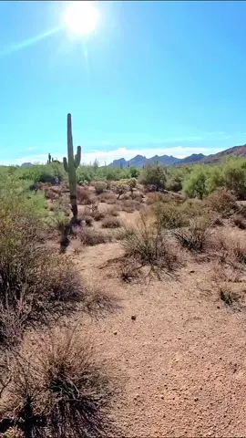 Morning hike out in Apache Junction 🤟🏽👀 #arizona #Hiking #entrepreneur #vacationmode 