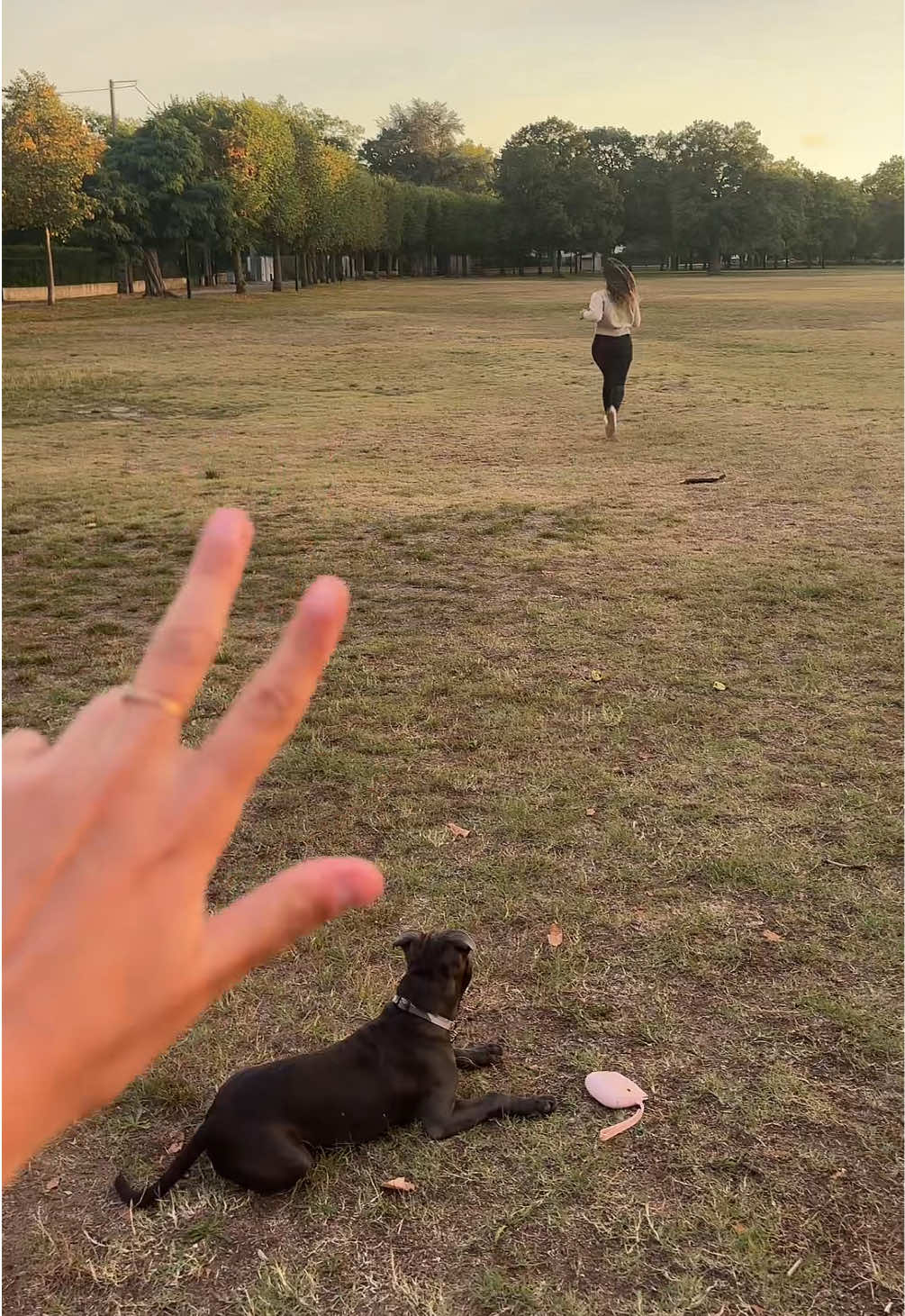 🐶 #badboys #Running #trend 