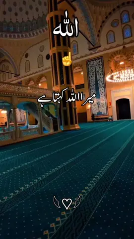 #creatorsearchinsights اللہ کہتا ہے مجھ سے مانگنے کے لیےامَنْ يُجِيبُ الْمُضْطَرَّ إِذَا دَعَ💞💞♥️🌸🌈#allah100k #goviral #tik_tok #loveyoyALLAH 