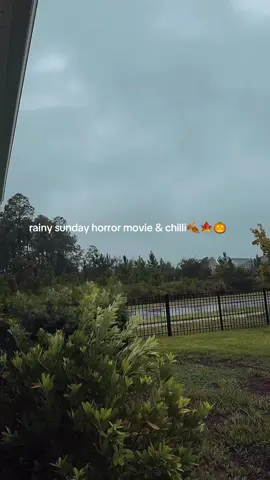 rainy Sunday horror movie & chilli 🍂🍁🎃 #rainydayvibes #horrortok #horrormovie #fallvibes #spookyszn 