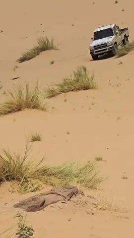 #تيوتا_شعار_لاي