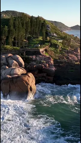 Joaquina Beach in Florianópolis, Santa Catarina, Brazil. 🏖️🇧🇷 #Beach #Brazil #Travel #Vacation 