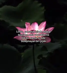 Bulunduğunuz yerin kirliliğinin size bulaşmasına izin vermeyin #manifesting #fyp #spiritual #rüya #telekinezi     