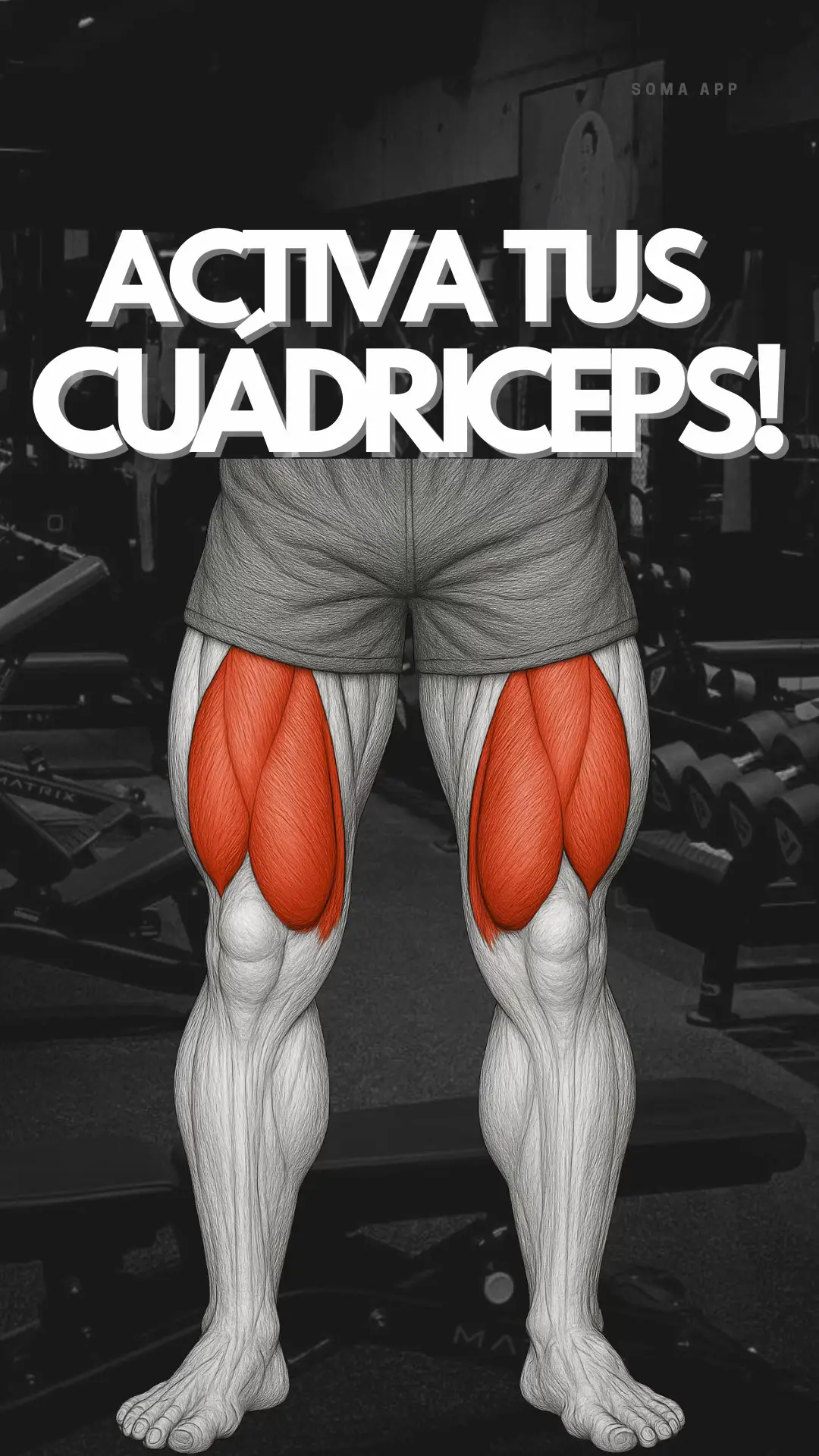 #crecimientomuscular #gym #gymbro #musculo #cuadriceps 