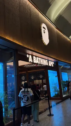 go shop! #fyp #bape #bapesta #americandreammall #fashion 