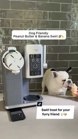 Everyone deserves a sweet treat. 🐶🍦 #NinjaCreami #NinjaSwirl Recipe 👇     INGREDIENTS 1 banana approx. 80g, chopped  100g loose peanut butter  350g whole Greek yogurt    DIRECTIONS    (1) In a large bowl, whisk all ingredients together until combined.  Make sure tub base is closed. Pour base into empty Swirl Tub. Place storage lid on tub and freeze for 24 hours.      (2) Remove tub from freezer and remove lid from tub. Install Swirl Tub into outer bowl and cover with processing lid, placing so the lines on the lid and handle align, turn clockwise until you hear a click.