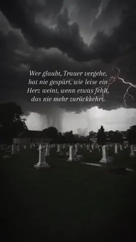 Trauer vergeht nie #traurigevideos #trauer #letzteworte 