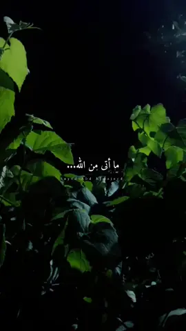 #اللهم اني احسنت بك الظن فاجبرني اللّهم إني استودعتك نفسي وصحتي ف يارب اشفيني وعافيني وارح جسدي ولا تحملني ما لا طاقه لي به ، اللهم اشفني بشفائك و داوني بدوائك ، اللهم انت الشافي لا شفاء إلا شفائك اشفني شفاء لا يغادرني سقماً لله اللهم يامن شفيت أيوب يكشفت الصرّعن يعقوب . إشفني وانزل العافيه على جسدي ياكريم اللهم ألبسني ثوب الصحة والعافية عاجلاً غير آجل، وشافني وعافني واعف عني، واشملني بعطفك ومغفرتك، وتولني برحمتك يا أرحم الراحمين.#اكسبلورexplore .