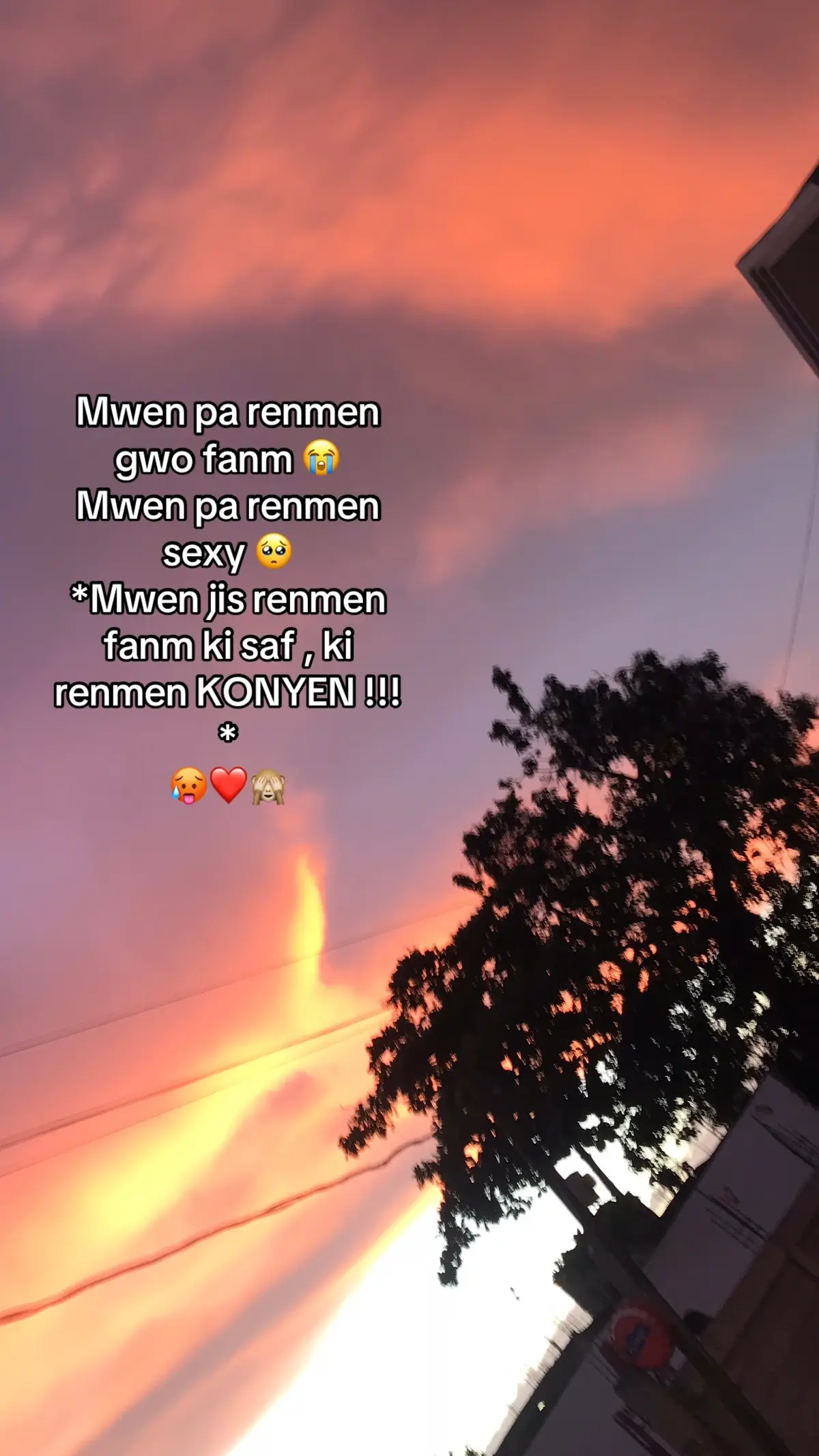 #viral #Love #viraltiktok #lxns1 