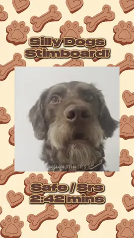 #stimming #stimboards #safestimboards #fyp #dogstimboard  
