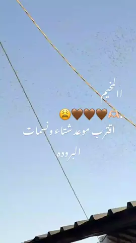 االمخيم🤎🤎🤎​​​​​​​​​​​​​​​​​​​​​​​​​​​​​​​​​​​​​​​​​​​​​​​​​​​​​​​​​🫶🏻. اقترب موعد شتاء ونسمات البرودهه #مخيم_الزعتري #اعاده_نشر🔁 #creatorsearchinsights #fyp #المخيم 