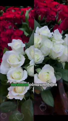 #müslüm👑🅱️🅰️🅱️🅰️👑🎙️🎵🎼🎶#müslüm👑🅱️🅰️🅱️🅰️👑🎙️🎵🎼🎶#keşfet#