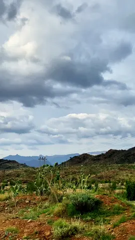 #محمد_عبده #اكسبلور 