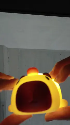 La lámpara me encanta...y funciona muy bien ⚘️💕 #Fyp #Parati #Viral #Asmr #Asmrcasero 