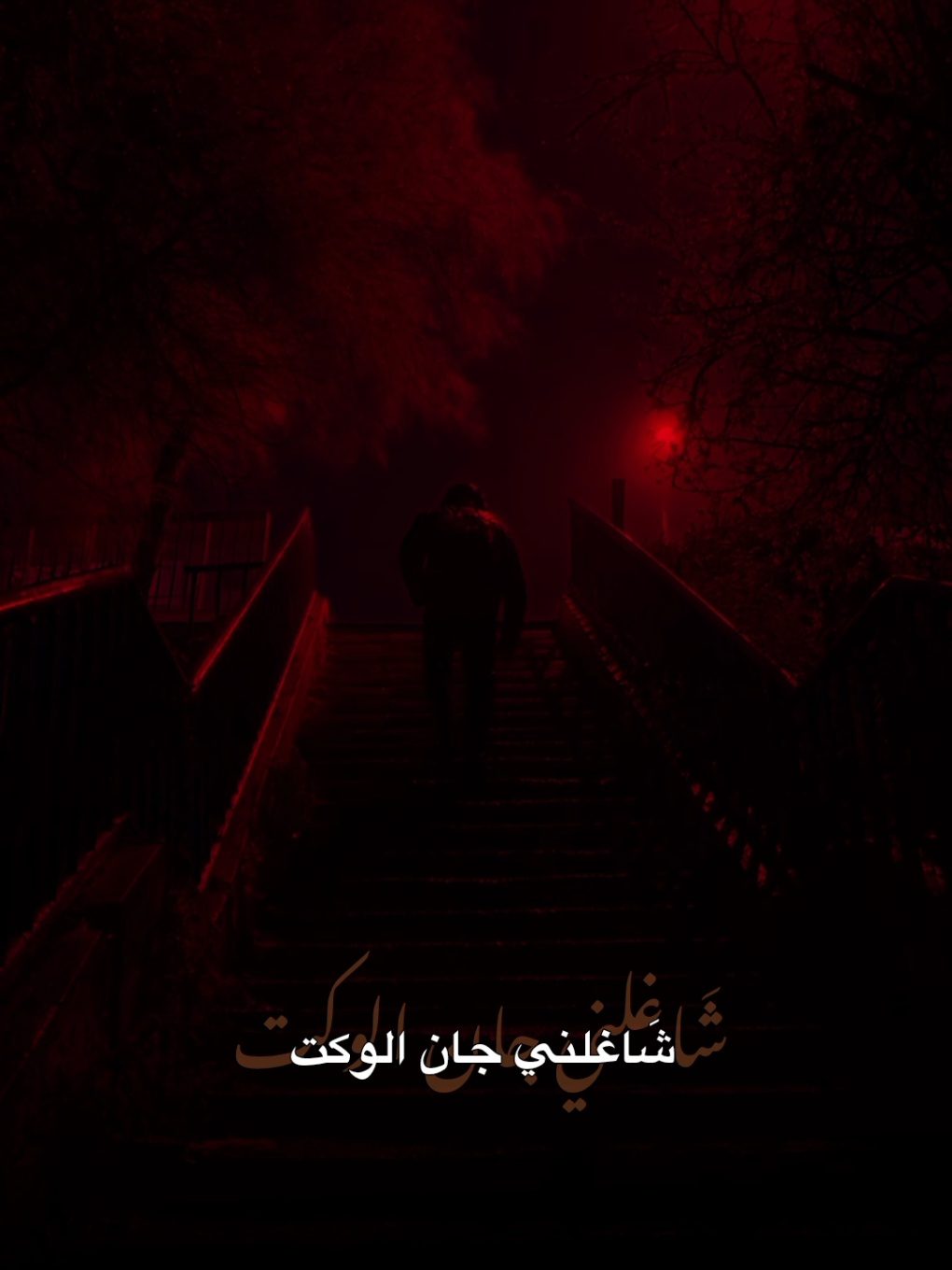 تعرفني صاحب ذنب | الملا رباح العيساوي 1447ه‍  . #رباح_العيساوي #RabahAlIssawi #اكسبلور #لايك #تيكتوك 