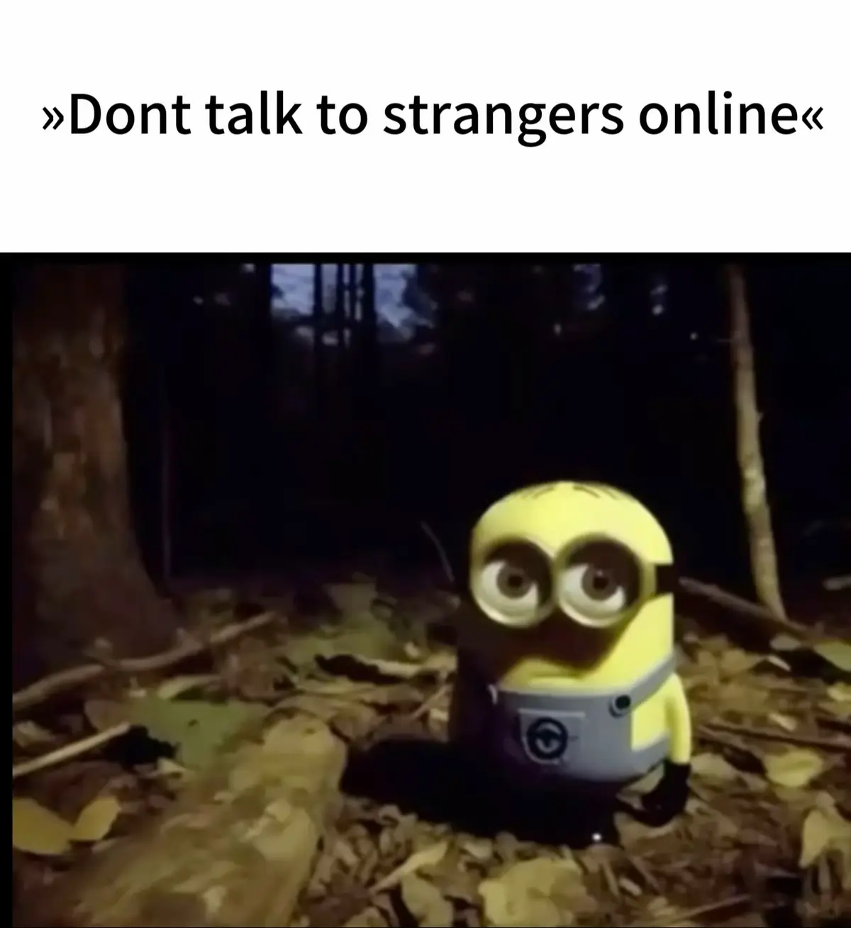 #onlinebestfriend #lovethem #safespace #donttalktostrangers #foryou @topsxmulti @Nika tokita | (Some friends irl too btw)