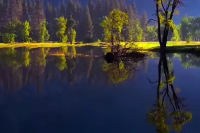 محمد صديق المنشاوي /mohammed sdeek almanshawi  الم تكن آياتي تتلى عليكم فكنتم بها تكذبون  #quran #قرآن #quran_alkarim #المنشاوي #turkey 