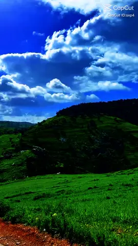 #creatorsearchinsights  Suggested title and hashtags Title: Navigating Young Adulthood: Tips for Gen Z #genz , #aging , #wellnesstips , #financialliteracy , #SelfCare 