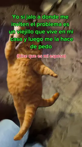 #Meme #MemeCut #fyp #funnyvideos 