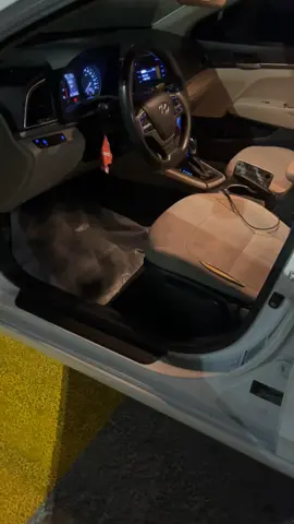 #fypppppppppppppp #النترا_تقفل_ملفك #fypシ゚viral #الانترا2017 #fypシ゚ 