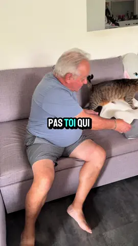 Oreiller spécial cervicale #cervicale #oreiller #offrespourtoi #douleurs #dormir 