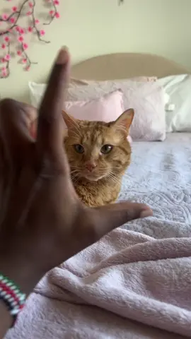 🤣